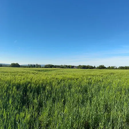 Dom wakacyjny Insolite - Natural Escape *